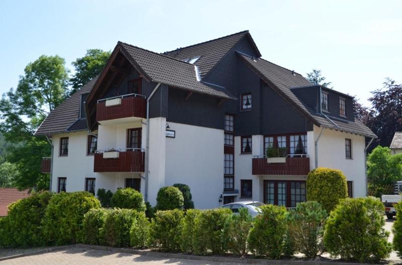 Luxus Ferienwohnung Schoene Aussicht Γκόσλαρ Εξωτερικό φωτογραφία